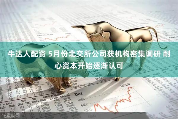 牛达人配资 5月份北交所公司获机构密集调研 耐心资本开始逐渐认可