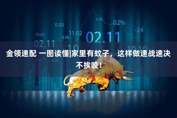 金领速配 一图读懂|家里有蚊子，这样做速战速决不挨咬！