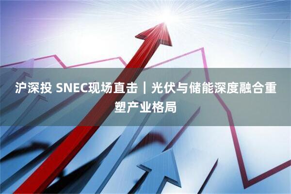 沪深投 SNEC现场直击｜光伏与储能深度融合重塑产业格局